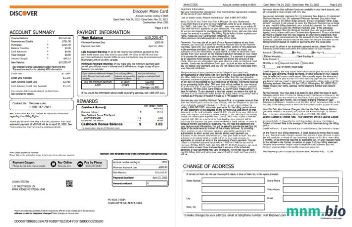 USA Odkryj wyciąg bankowy, szablon Word i PDF, 5 stron
